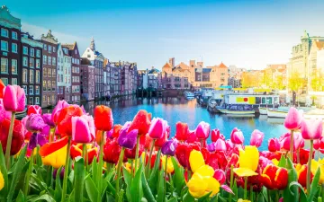 CBS September Economic Monitor: Dutch Economy in Broad Recovery as Consumer Spending and Exports Both Improve